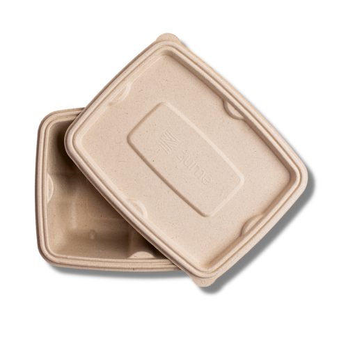 Anti-Leak Spill-Proof Eco-Friendly Compostable Biodegradable Rectangular Takeout Box Container